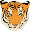 Detailed Tiger Head Clip Art
